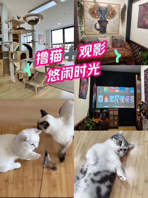 国产精品骚p的相关介绍