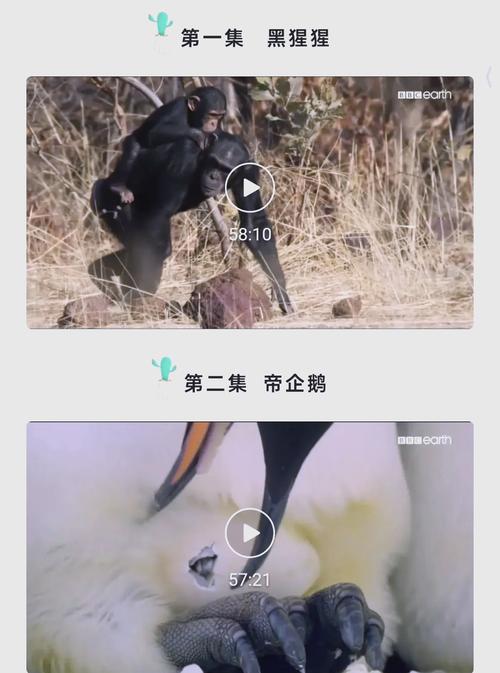 亚洲熟女少妇满足我的相关介绍