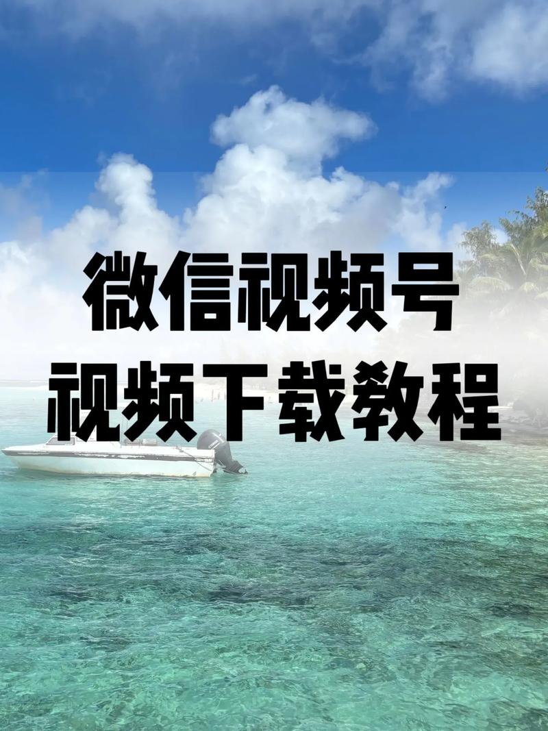 精油按摩伦的相关介绍