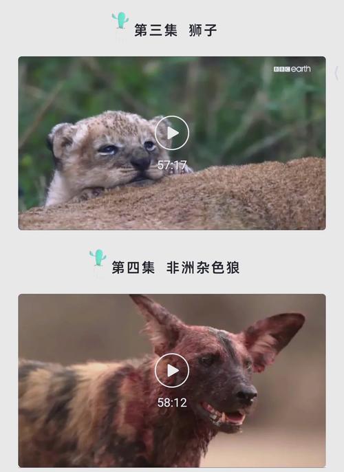欧美精品久久大逼的相关介绍