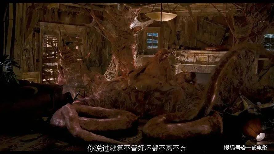 18禁在线网的相关介绍
