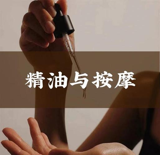 极品白嫩人妻酒店的相关介绍
