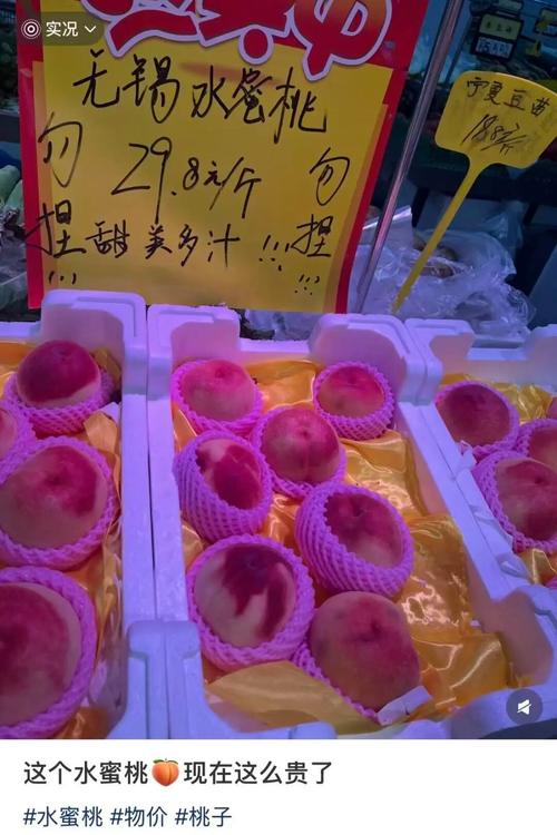 人人妻人人透人人爽少妇的相关介绍