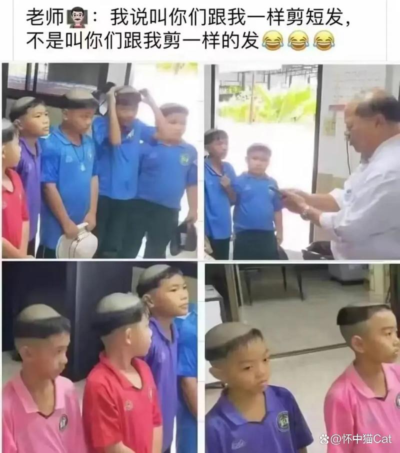 蜜桃少妇人妻一区二区视频的相关介绍