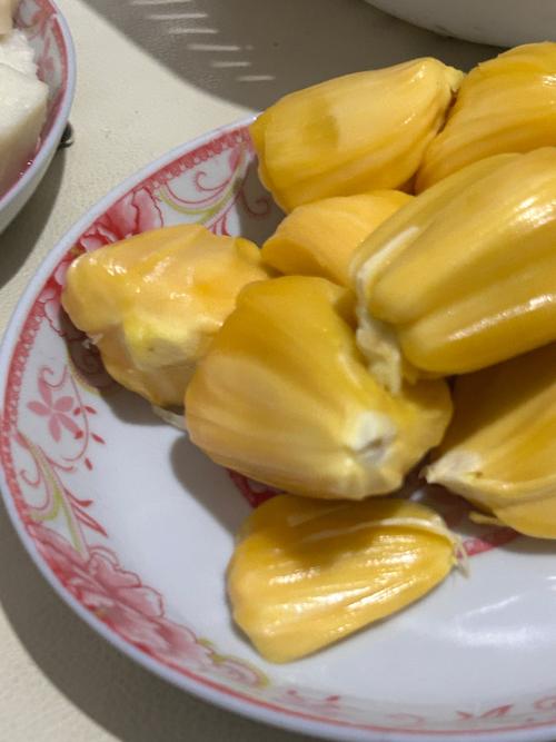 sese图片的相关介绍