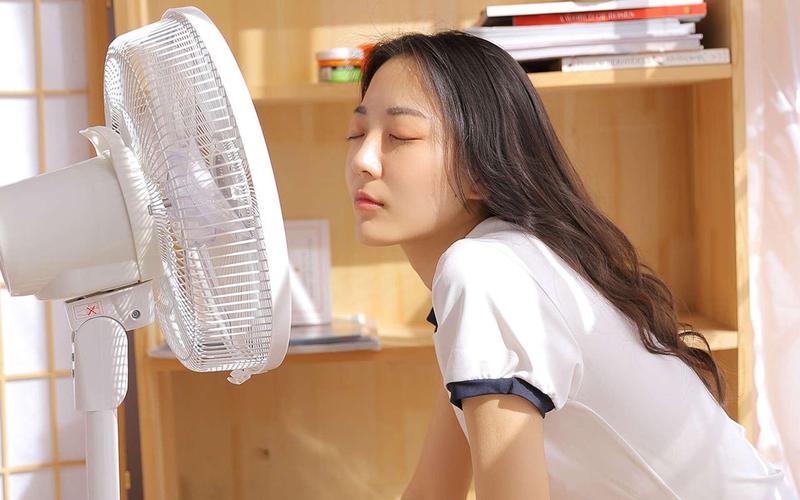 久久久久久久激情片的相关介绍