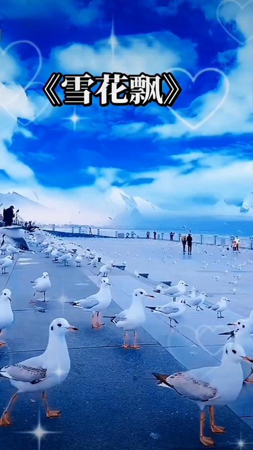 按摩精油3日本的相关介绍