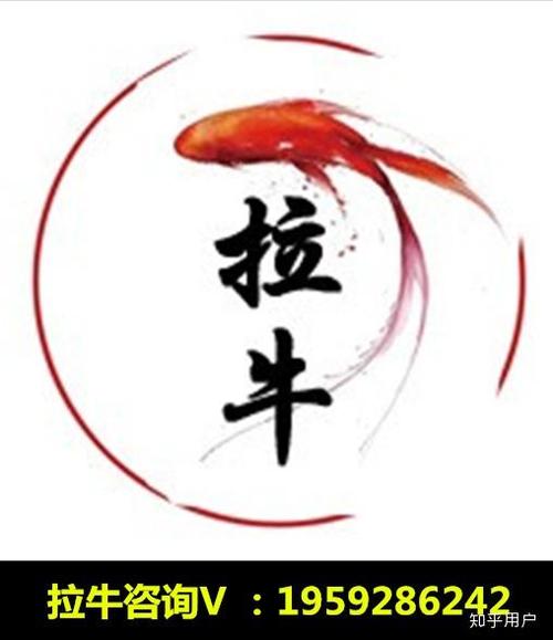 国产se精品的相关介绍